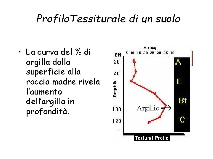 Profilo. Tessiturale di un suolo • La curva del % di argilla dalla superficie