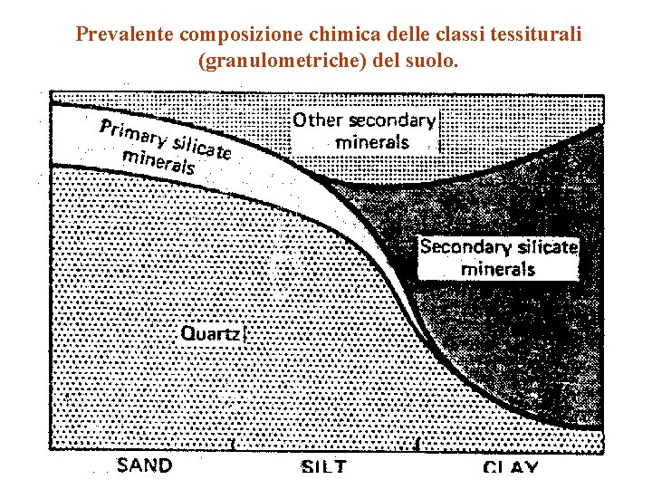 Prevalente composizione chimica delle classi tessiturali (granulometriche) del suolo. 