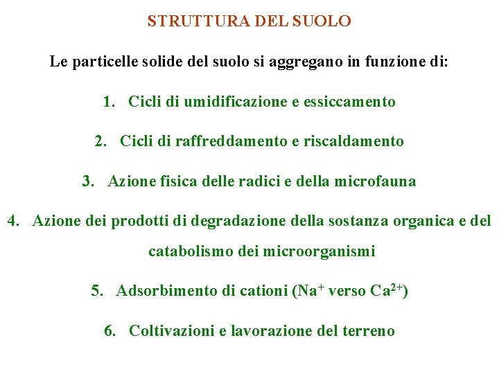 STRUTTURA DEL SUOLO Le particelle solide del suolo si aggregano in funzione di: 1.