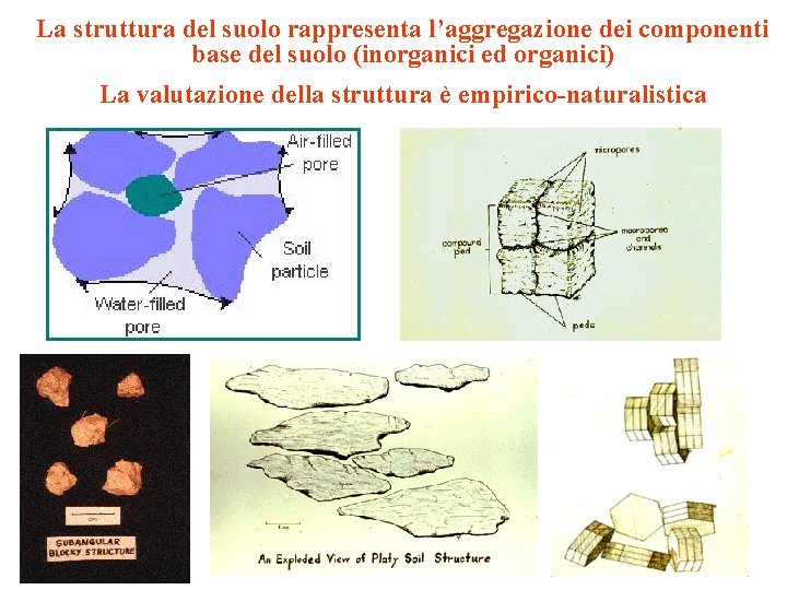 La struttura del suolo rappresenta l’aggregazione dei componenti base del suolo (inorganici ed organici)