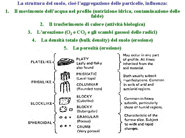 La struttura del suolo, cioè l’aggregazione delle particelle, influenza: 1. Il movimento dell’acqua nel