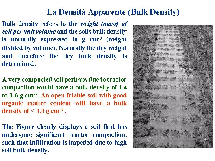 La Densità Apparente (Bulk Density) Bulk density refers to the weight (mass) of soil