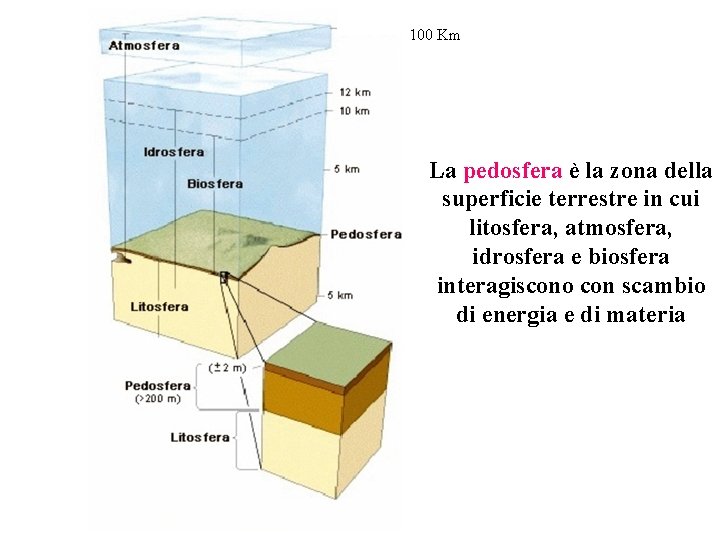 100 Km La pedosfera è la zona della superficie terrestre in cui litosfera, atmosfera,