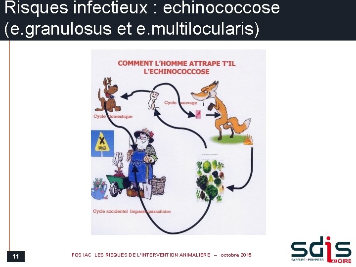 Risques infectieux : echinococcose (e. granulosus et e. multilocularis) 11 FOS IAC LES RISQUES