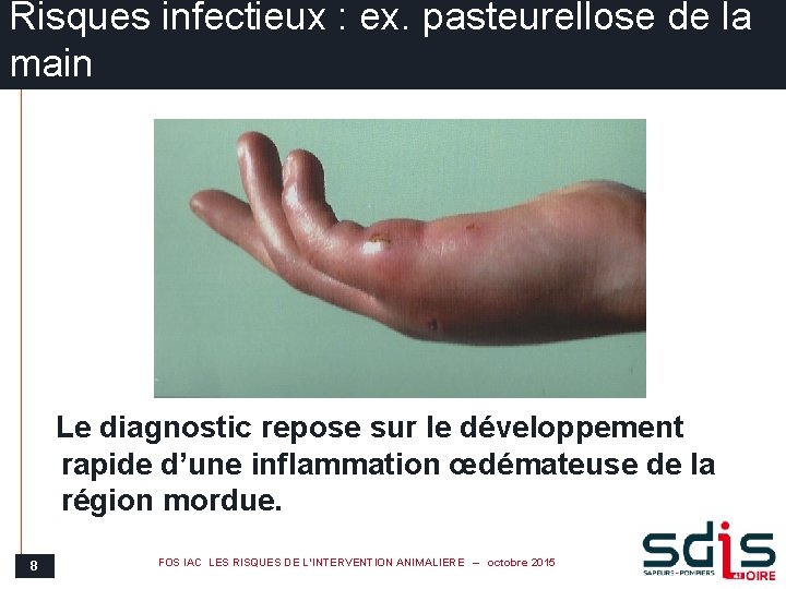 Risques infectieux : ex. pasteurellose de la main Le diagnostic repose sur le développement
