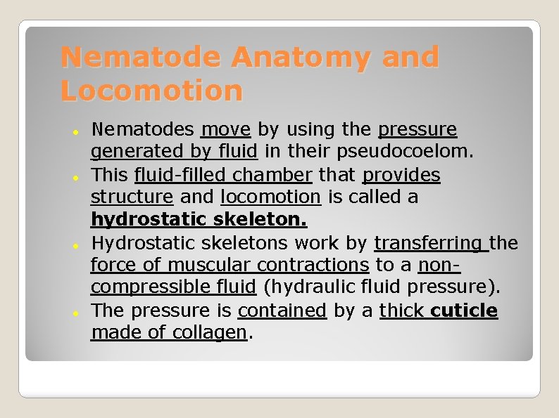 Nematode Anatomy and Locomotion Nematodes move by using the pressure generated by fluid in