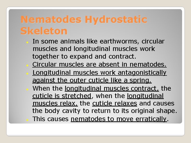 Nematodes Hydrostatic Skeleton In some animals like earthworms, circular muscles and longitudinal muscles work