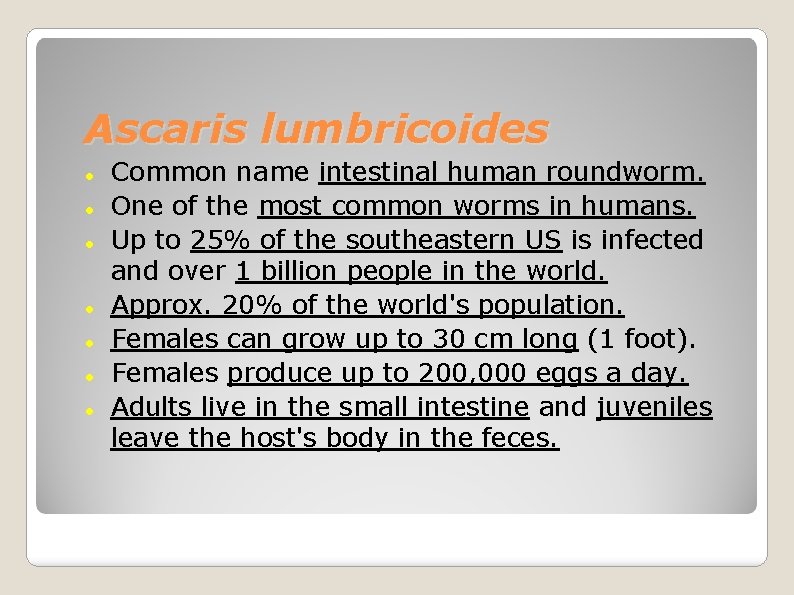Ascaris lumbricoides Common name intestinal human roundworm. One of the most common worms in