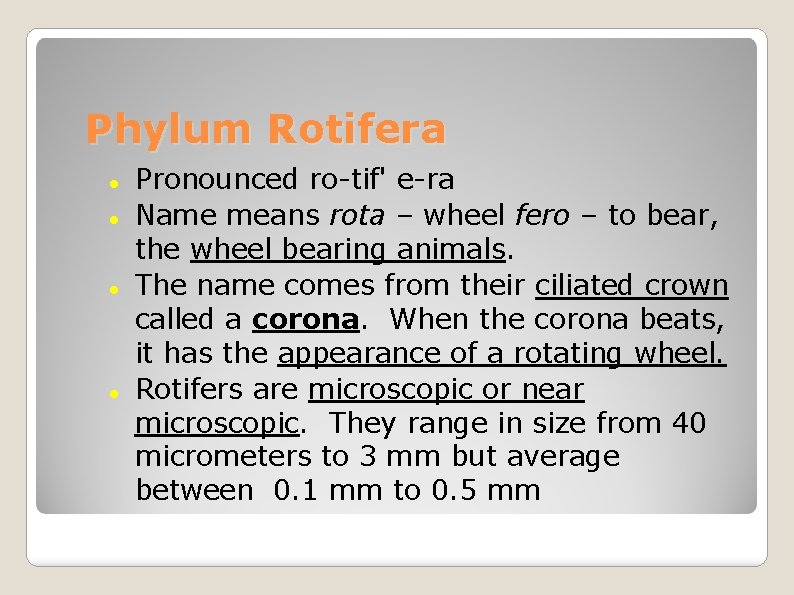 Phylum Rotifera Pronounced ro-tif' e-ra Name means rota – wheel fero – to bear,