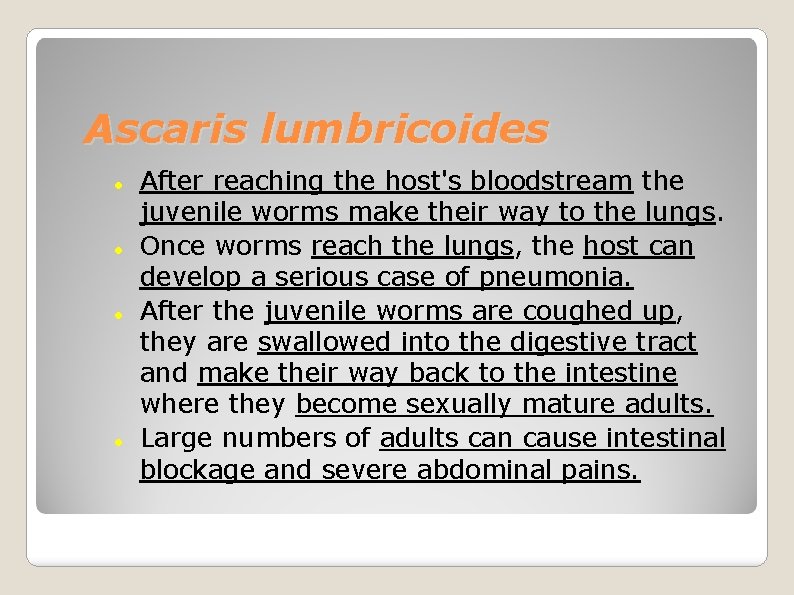 Ascaris lumbricoides After reaching the host's bloodstream the juvenile worms make their way to