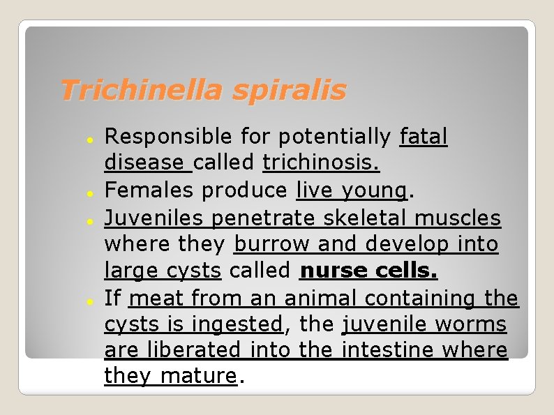 Trichinella spiralis Responsible for potentially fatal disease called trichinosis. Females produce live young. Juveniles
