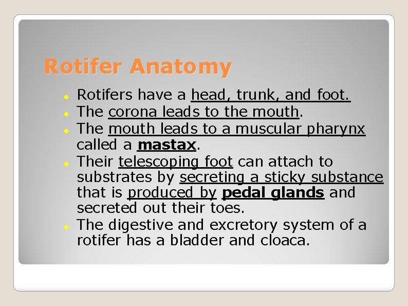 Rotifer Anatomy Rotifers have a head, trunk, and foot. The corona leads to the