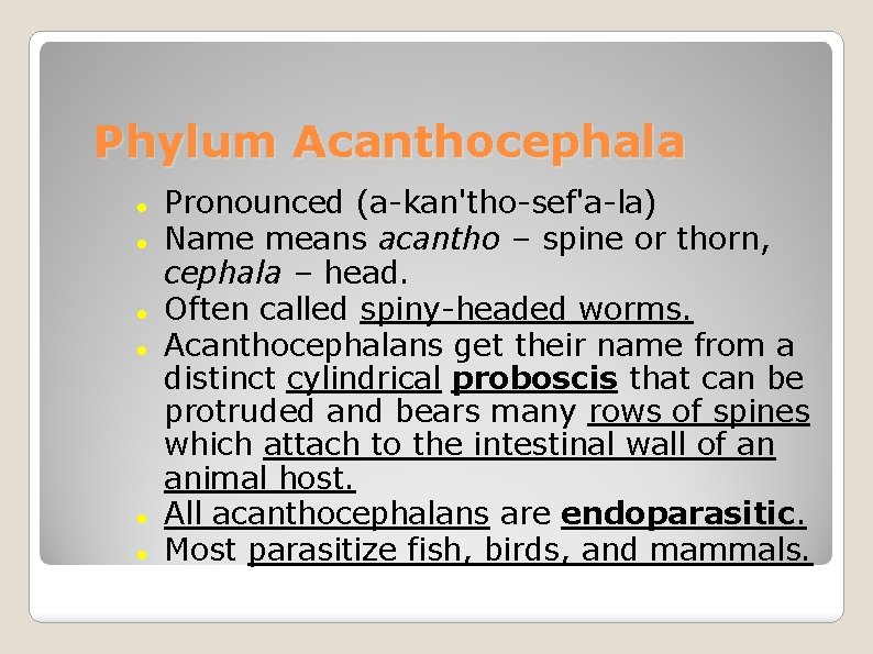 Phylum Acanthocephala Pronounced (a-kan'tho-sef'a-la) Name means acantho – spine or thorn, cephala – head.