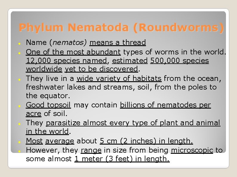 Phylum Nematoda (Roundworms) Name (nematos) means a thread One of the most abundant types