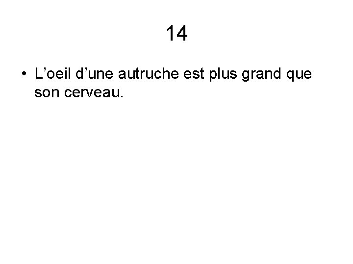14 • L’oeil d’une autruche est plus grand que son cerveau. 