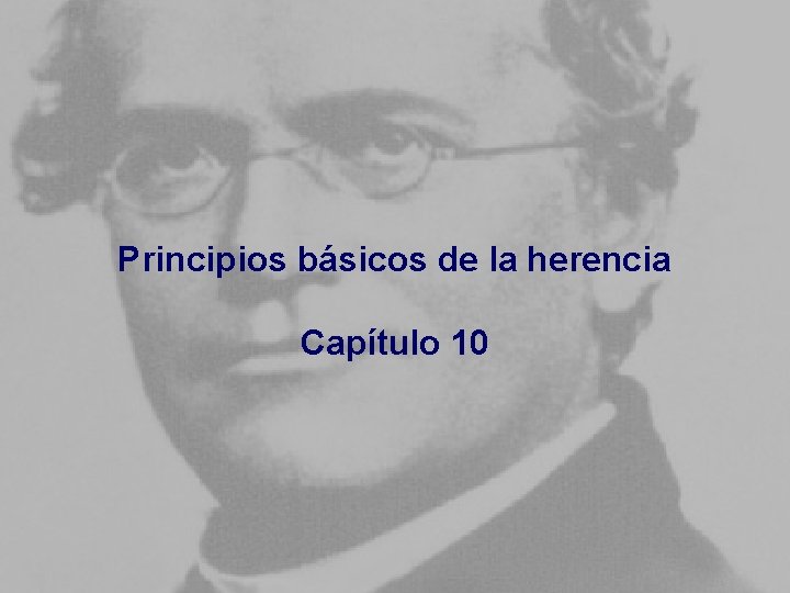 Principios básicos de la herencia Capítulo 10 