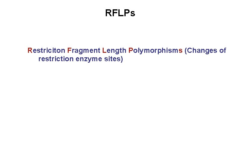 RFLPs Restriciton Fragment Length Polymorphisms (Changes of restriction enzyme sites) 