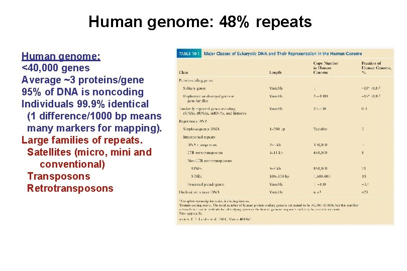 Human genome: 48% repeats Human genome: <40, 000 genes Average ~3 proteins/gene 95% of