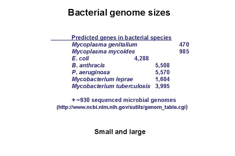 Bacterial genome sizes Predicted genes in bacterial species Mycoplasma genitalium Mycoplasma mycoides E. coli