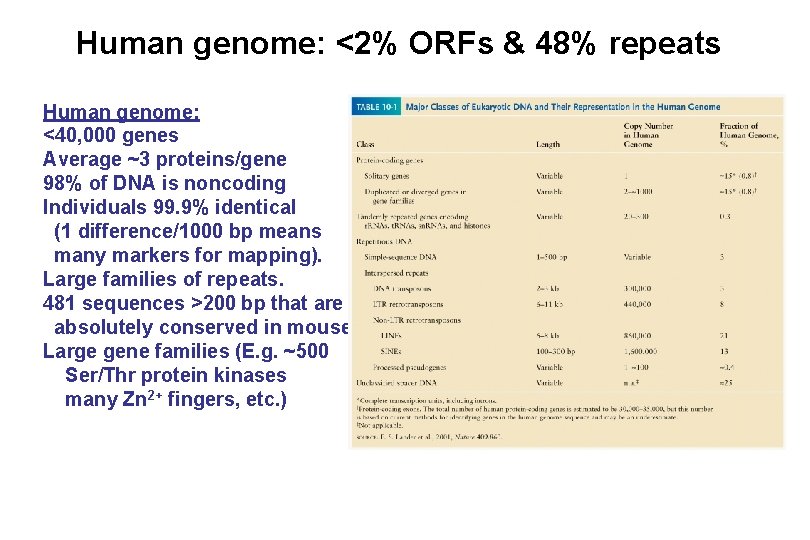 Human genome: <2% ORFs & 48% repeats Human genome: <40, 000 genes Average ~3