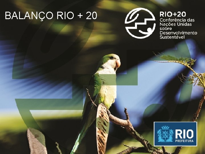 BALANÇO RIO + 20 