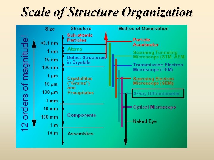 Scale of Structure Organization 