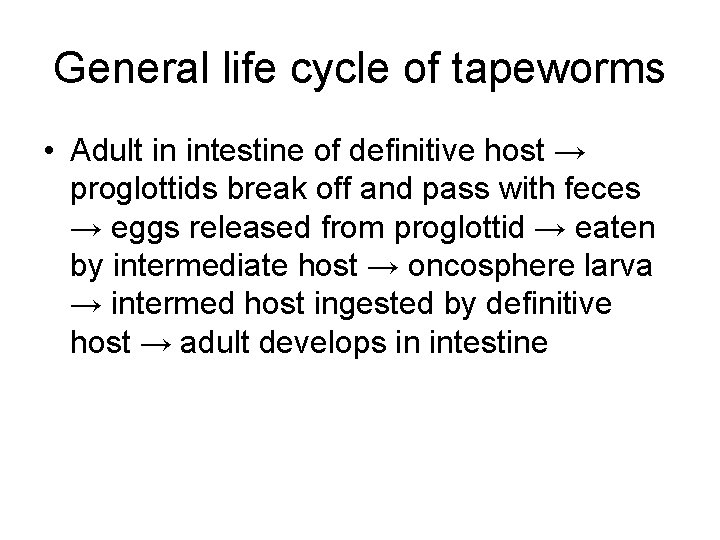 General life cycle of tapeworms • Adult in intestine of definitive host → proglottids