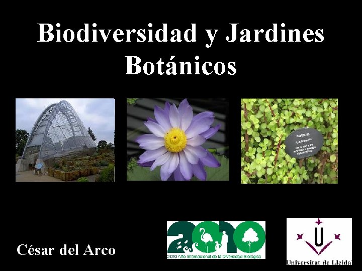 Biodiversidad y Jardines Botánicos César del Arco 