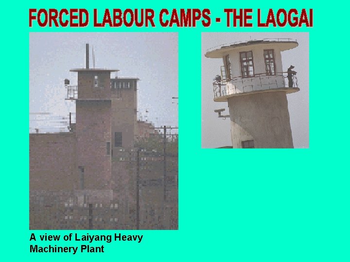 A view of Laiyang Heavy Machinery Plant 