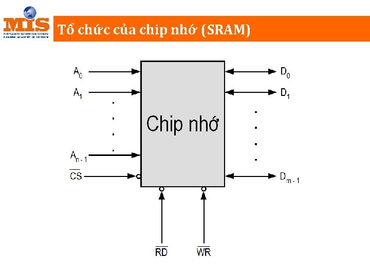 Tổ chức của chip nhớ (SRAM) 