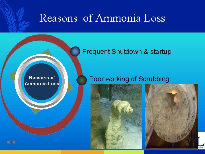 Reasons of Ammonia Loss Frequent Shutdown & startup Reasons of Ammonia Loss Poor working