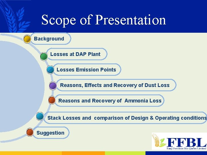Scope of Presentation Background Losses at DAP Plant Losses Emission Points Reasons, Effects and
