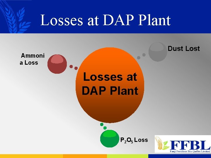 Losses at DAP Plant Dust Lost Ammoni a Losses at DAP Plant P 2