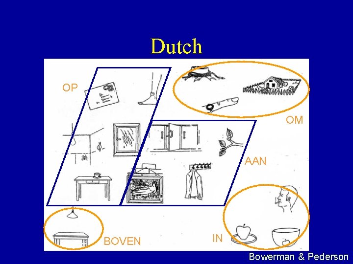 Dutch OP OM AAN BOVEN IN Bowerman & Pederson 