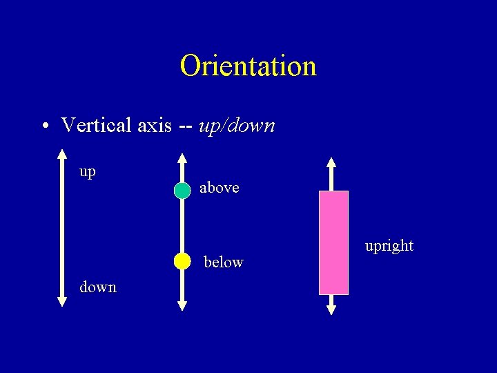 Orientation • Vertical axis -- up/down up above below down upright 