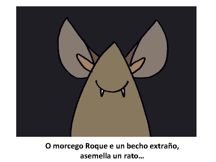 O morcego Roque e un becho extraño, asemella un rato… 