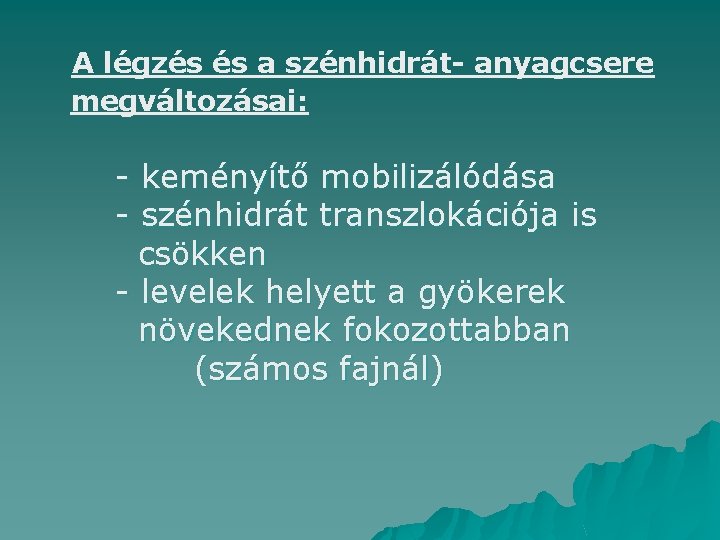 A légzés és a szénhidrát- anyagcsere megváltozásai: - keményítő mobilizálódása - szénhidrát transzlokációja is