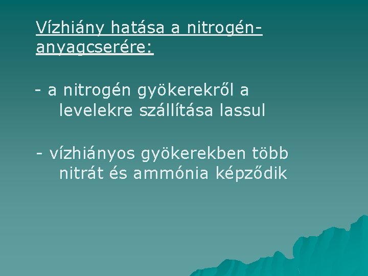 Vízhiány hatása a nitrogénanyagcserére: - a nitrogén gyökerekről a levelekre szállítása lassul - vízhiányos