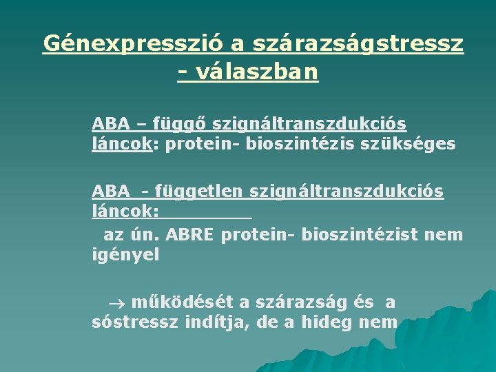 Génexpresszió a szárazságstressz - válaszban ABA – függő szignáltranszdukciós láncok: protein- bioszintézis szükséges ABA