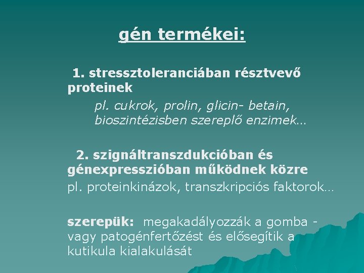 gén termékei: 1. stressztoleranciában résztvevő proteinek pl. cukrok, prolin, glicin- betain, bioszintézisben szereplő enzimek…
