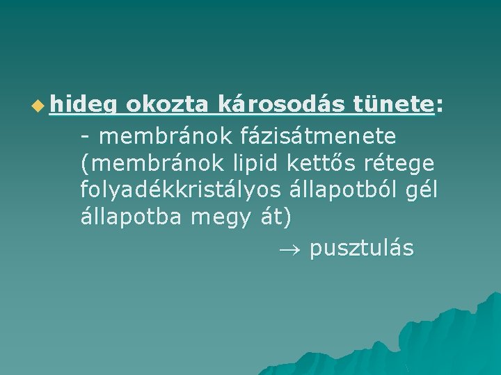 u hideg okozta károsodás tünete: - membránok fázisátmenete (membránok lipid kettős rétege folyadékkristályos állapotból