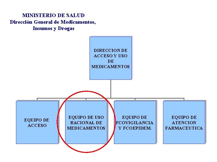 MINISTERIO DE SALUD Dirección General de Medicamentos, Insumos y Drogas DIRECCION DE ACCESO Y