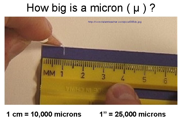 How big is a micron ( µ ) ? http: //www. talentteacher. com/pics/005 cb.