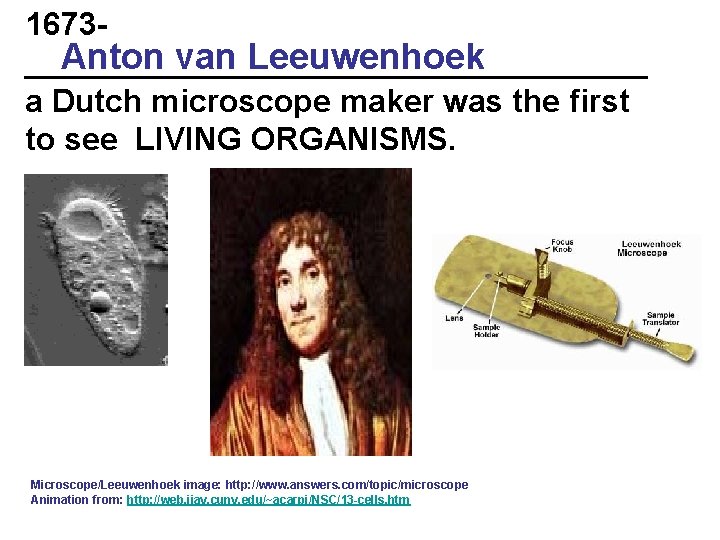 1673 Anton van Leeuwenhoek __________________ a Dutch microscope maker was the first to see