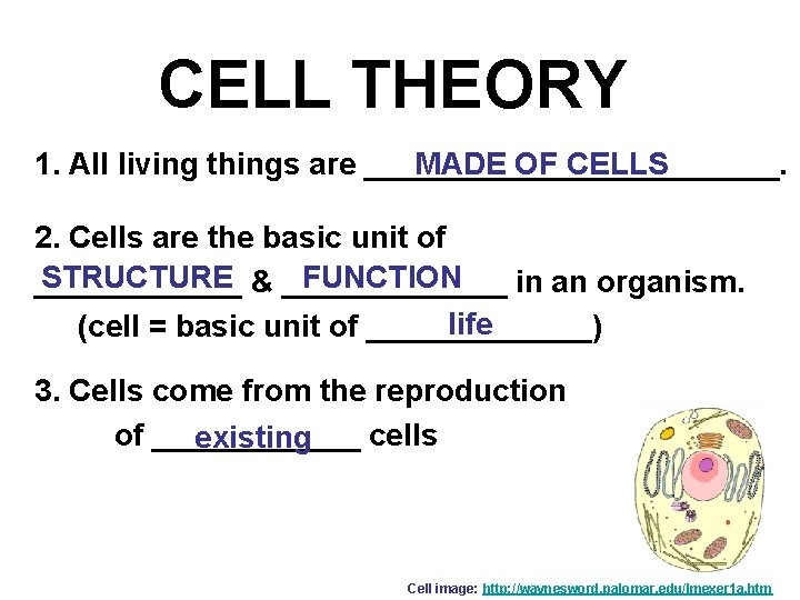 CELL THEORY 1. All living things are ____________. MADE OF CELLS 2. Cells are
