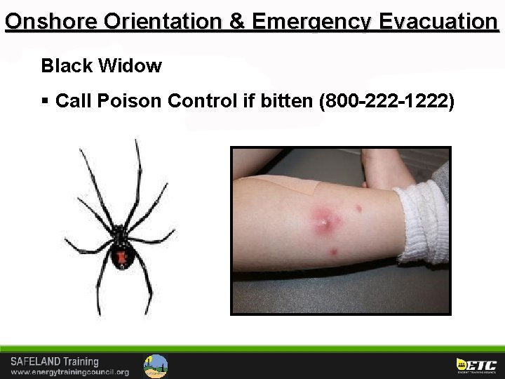 Onshore Orientation & Emergency Evacuation Black Widow § Call Poison Control if bitten (800
