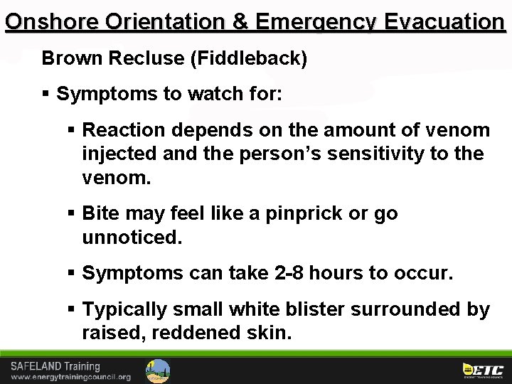 Onshore Orientation & Emergency Evacuation Brown Recluse (Fiddleback) § Symptoms to watch for: §