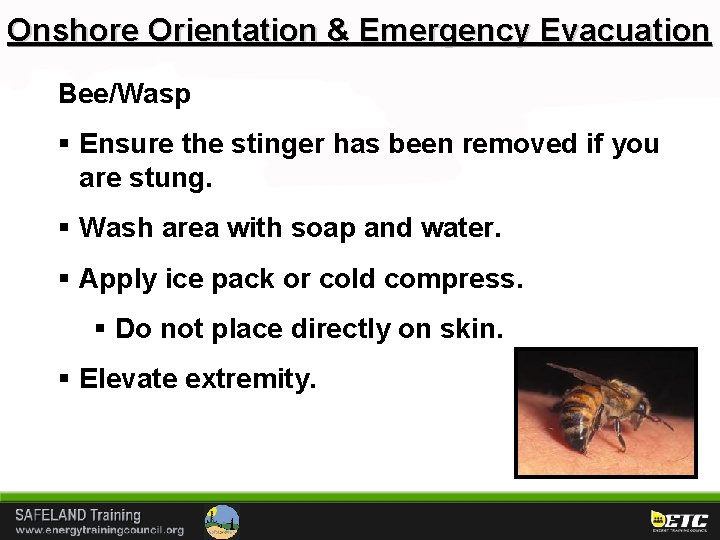 Onshore Orientation & Emergency Evacuation Bee/Wasp § Ensure the stinger has been removed if