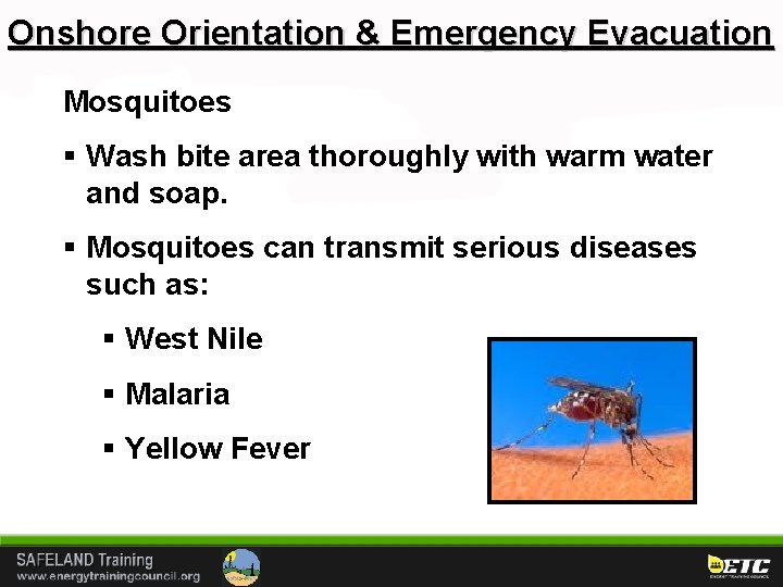 Onshore Orientation & Emergency Evacuation Mosquitoes § Wash bite area thoroughly with warm water