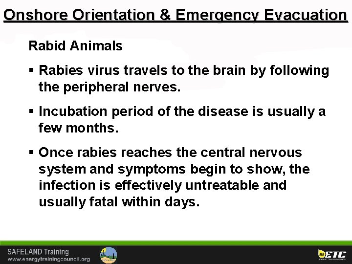 Onshore Orientation & Emergency Evacuation Rabid Animals § Rabies virus travels to the brain